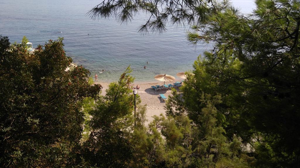 Apartament Davor